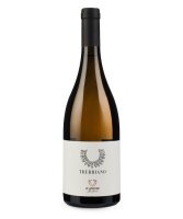 Anfora Trebbiano Toscana IGT 2021